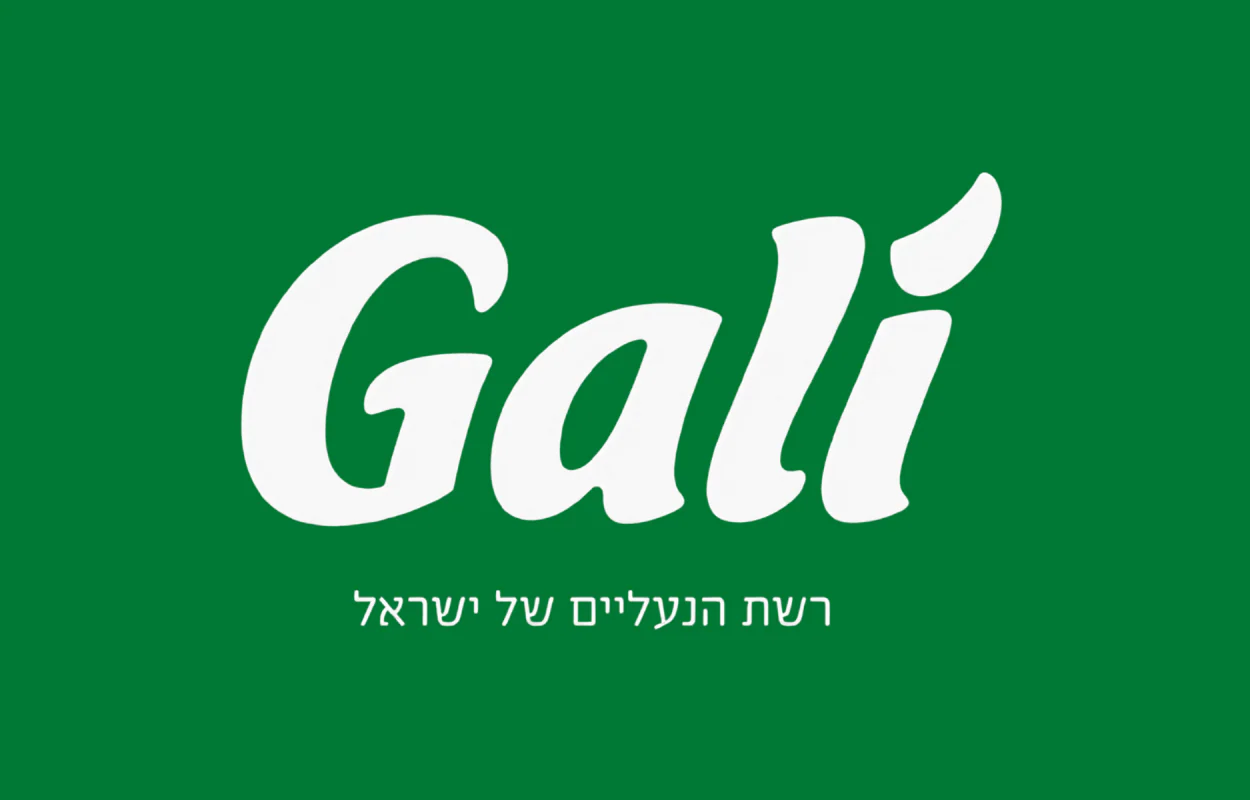 תמונת מוצר 1