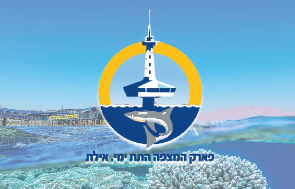 תמונה ממוזערת 1
